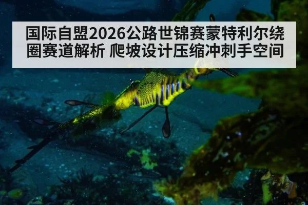 国际自盟2026公路世锦赛蒙特利尔绕圈赛道解析 爬坡设计压缩冲刺手空间